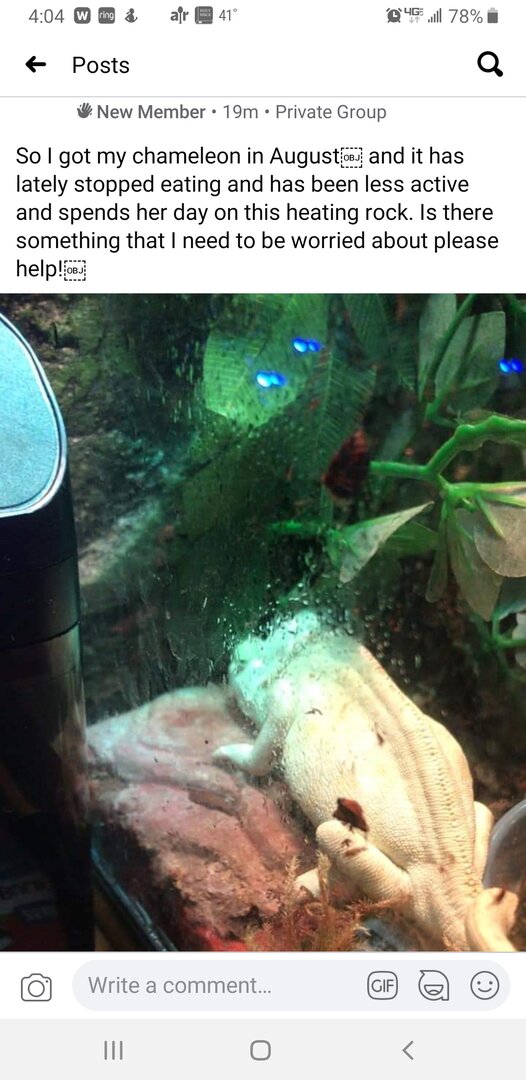 Screenshot_20201127-160416_Facebook.jpg