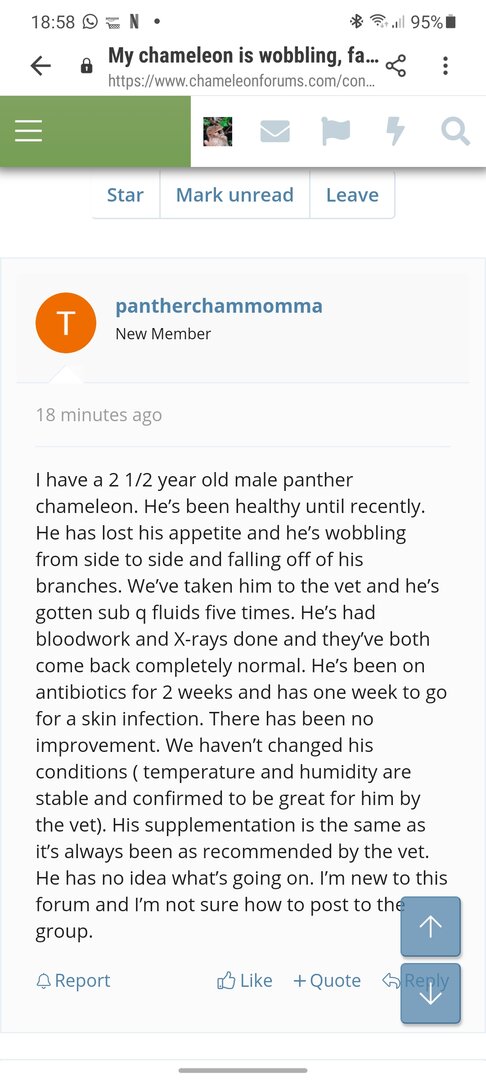 Screenshot_20201212-185808_Samsung Internet.jpg