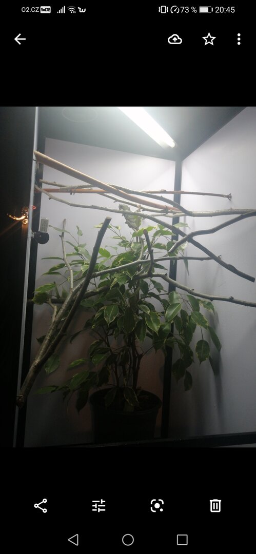 Screenshot_20201226_204553_com.google.android.apps.photos.jpg