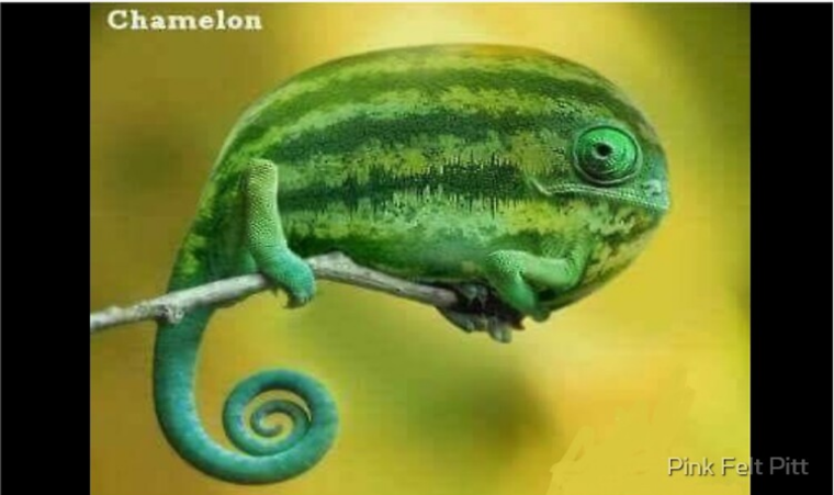 Screenshot_20201227-080158.png