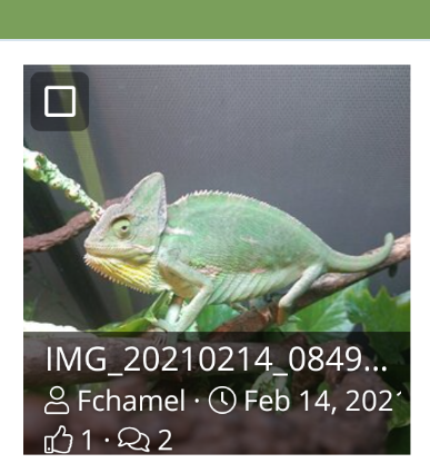 Screenshot_20210214-155220.png