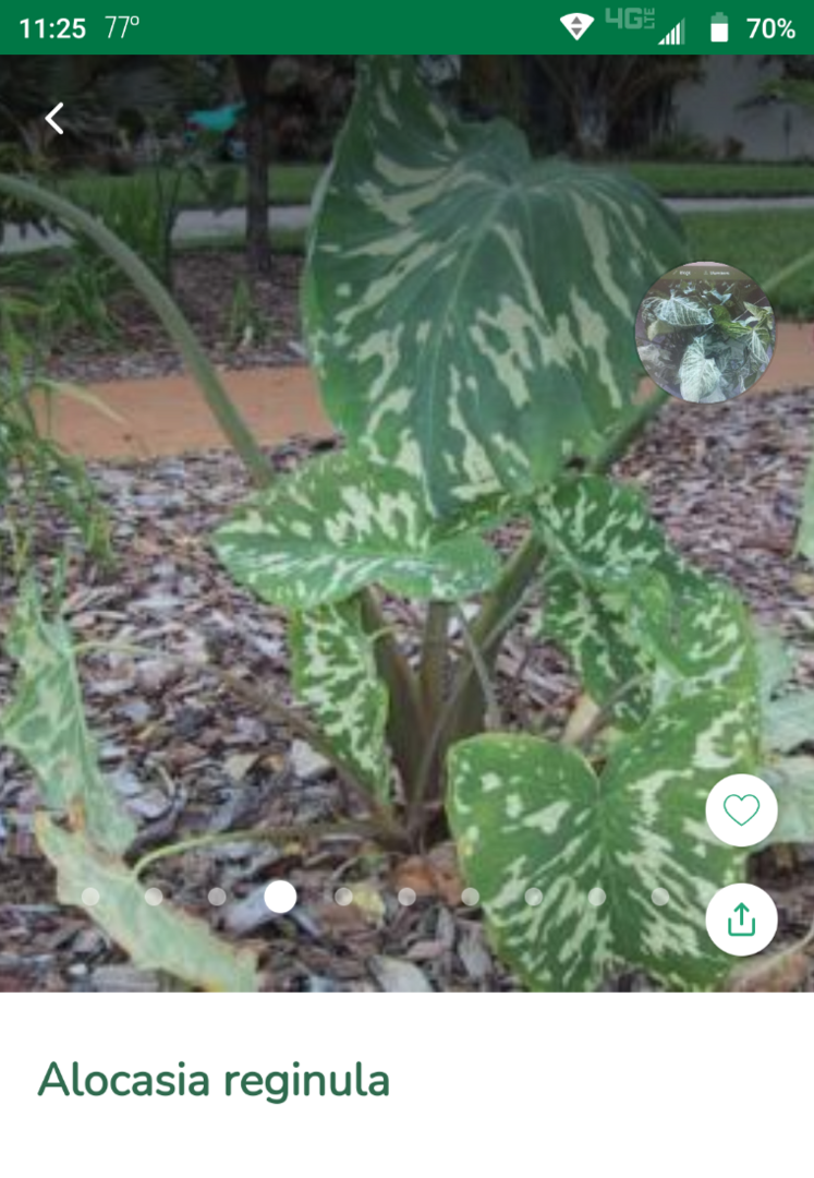 Screenshot_20211014-112521.png