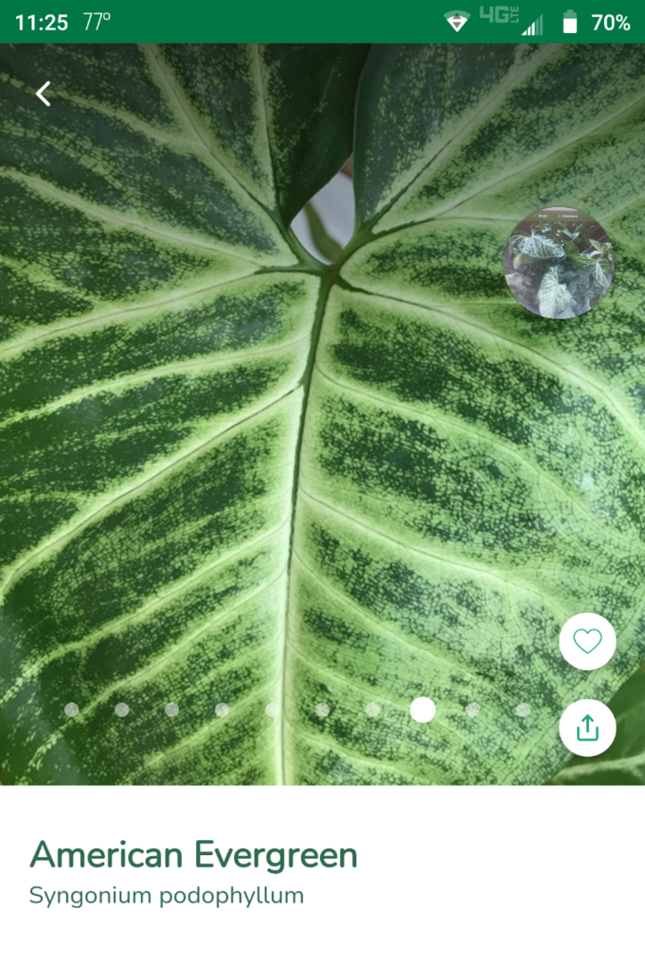Screenshot_20211014-112541.png