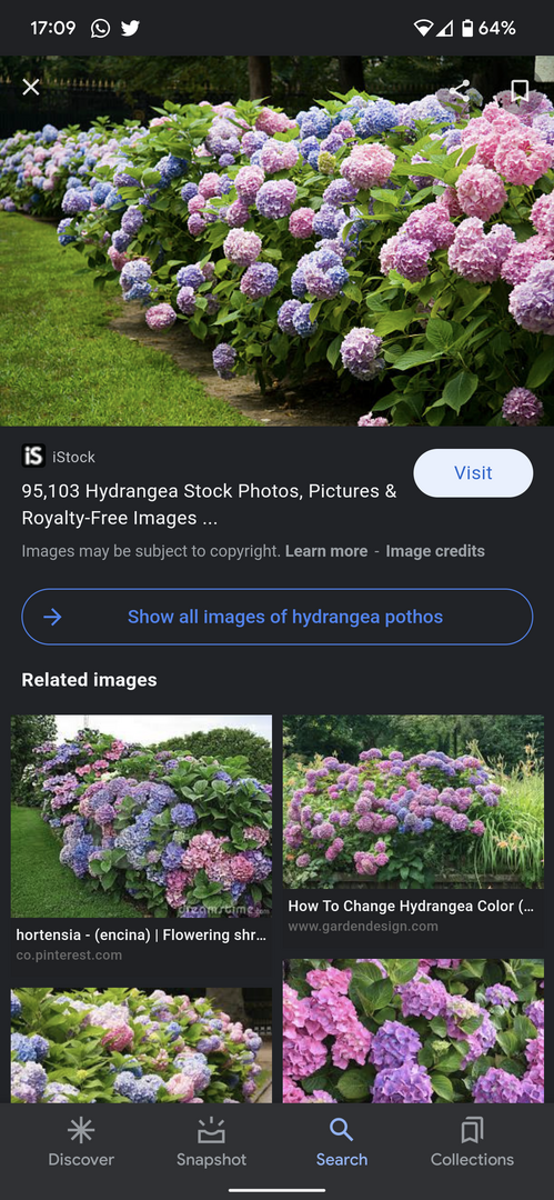 Screenshot_20220103-170957.png