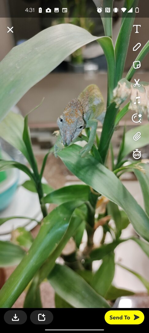 Screenshot_20220331-163153.jpg