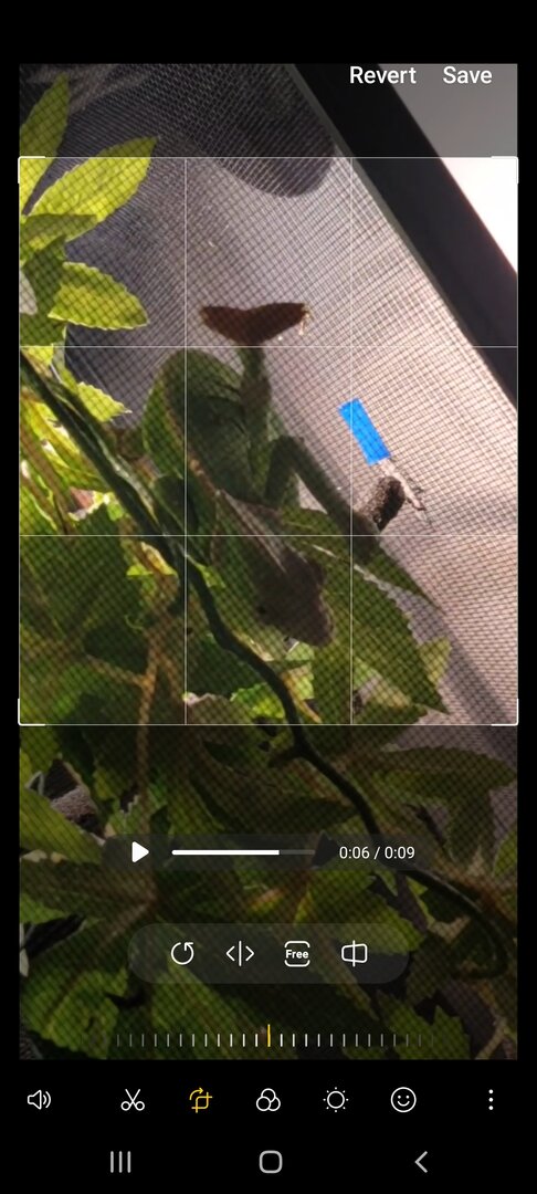 Screenshot_20220906-194959_Video Editor.jpg