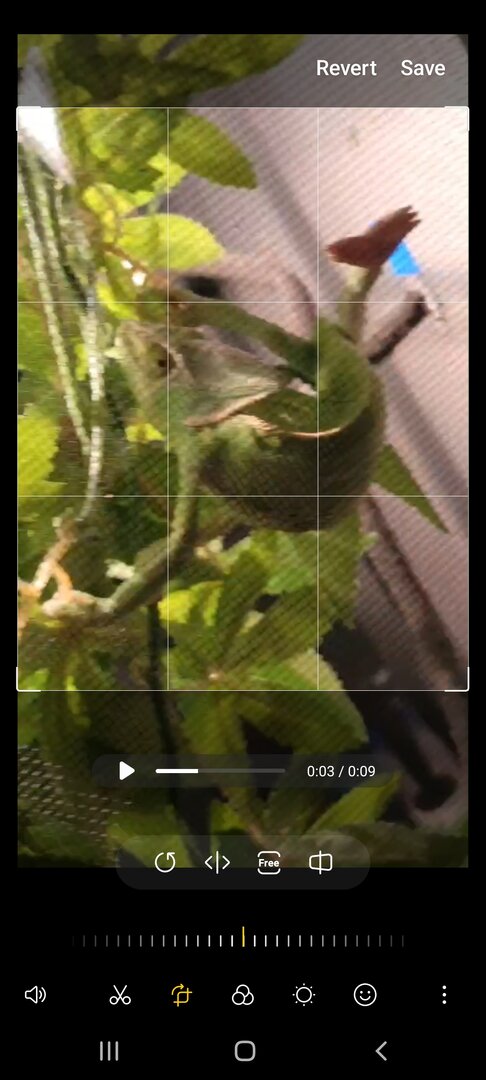 Screenshot_20220906-195053_Video Editor.jpg