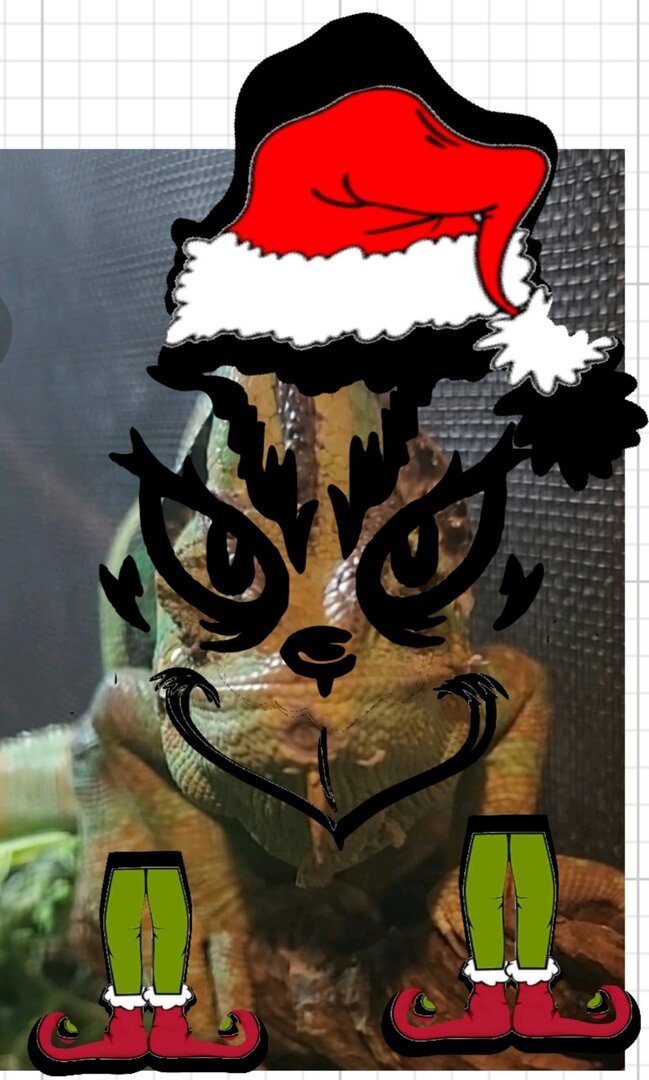 Screenshot_20221215_194748_Cricut Design Space.jpg