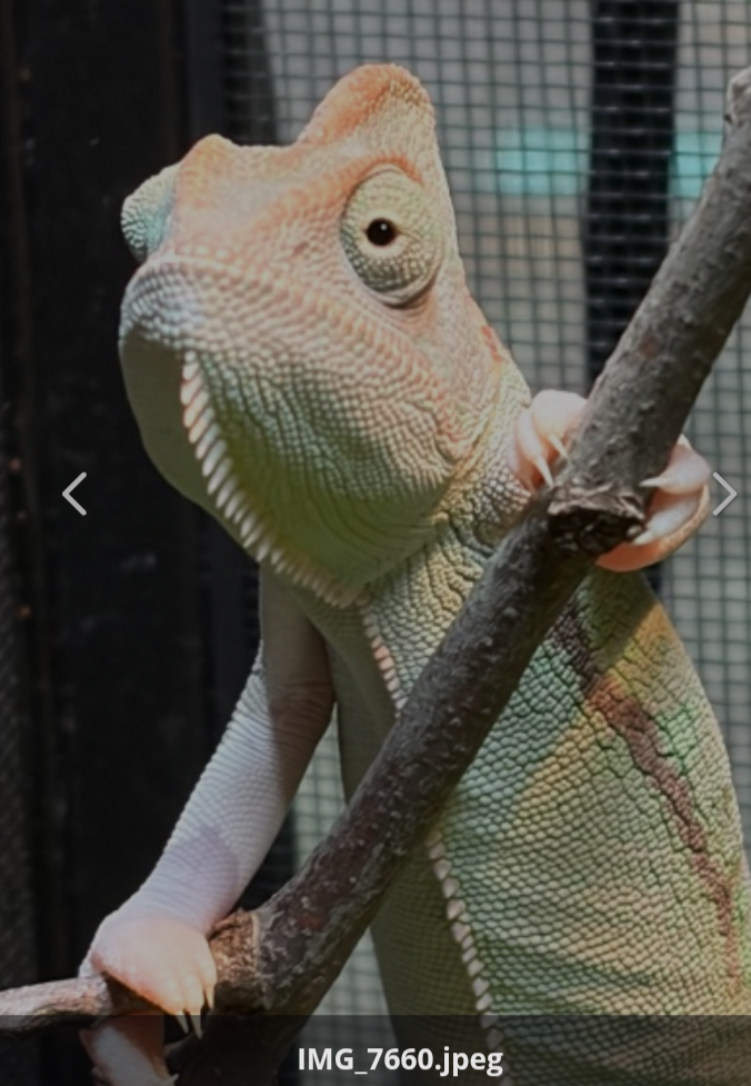 Screenshot_20260810-180511-080.png