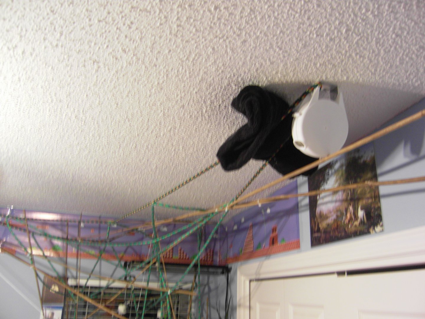 SDC13755.JPG