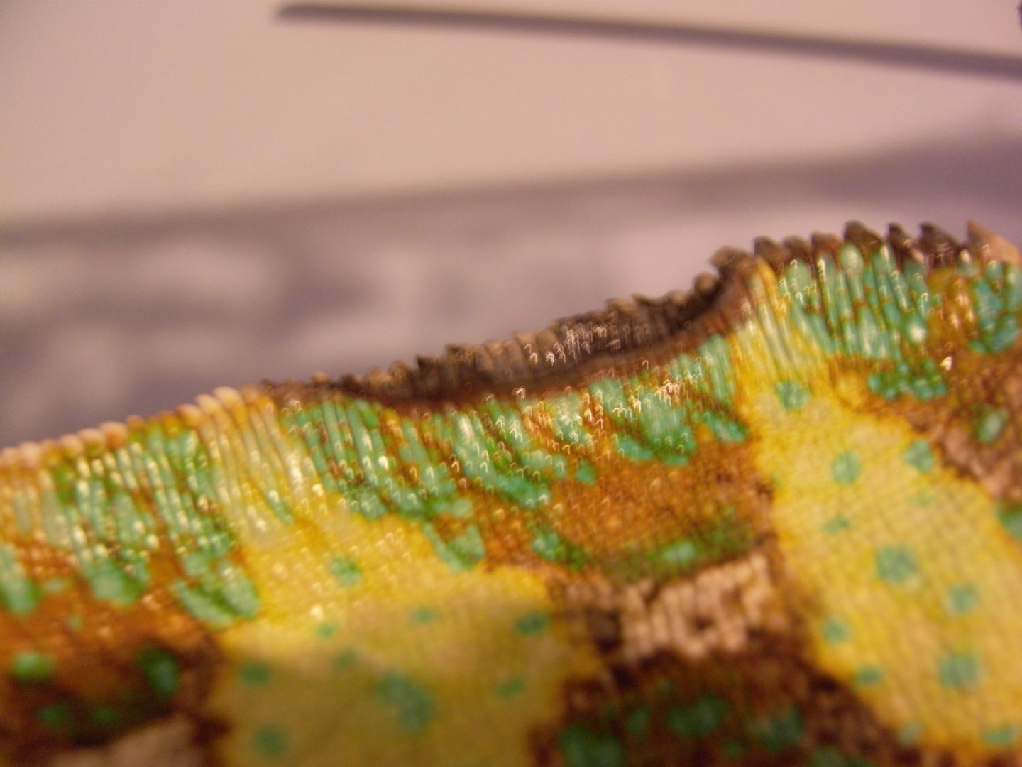 SDC13758.JPG