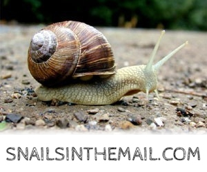 snails300b.jpg