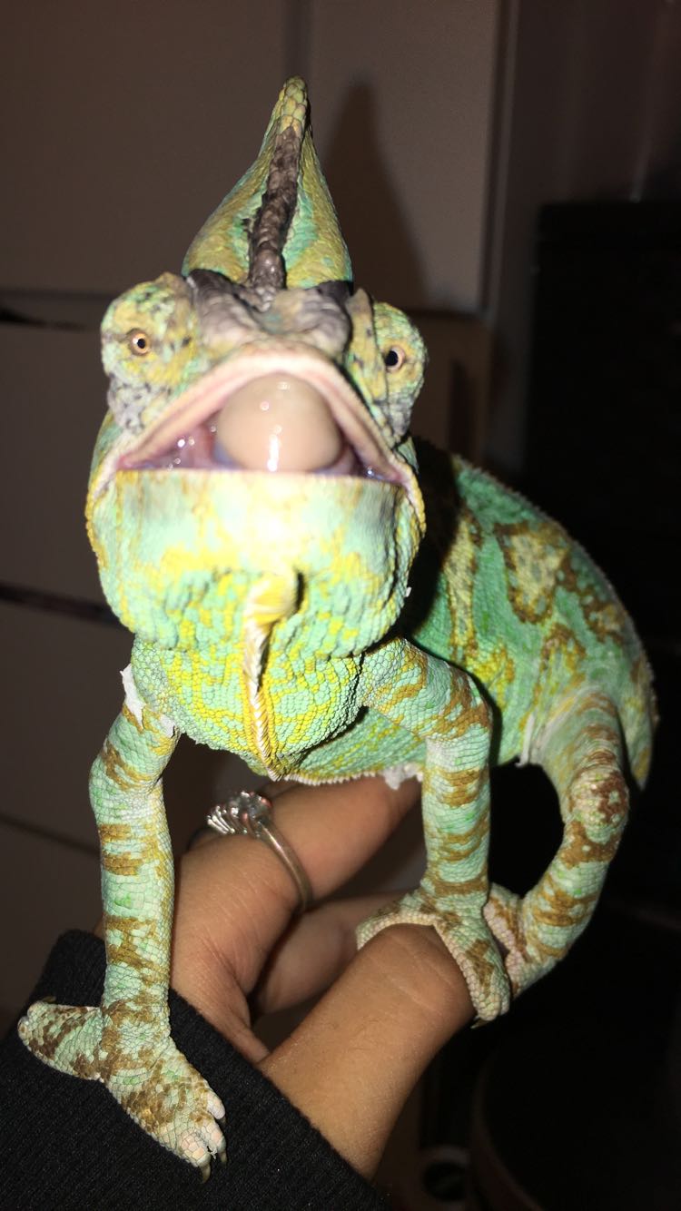 Snapchat-1030311030.jpg