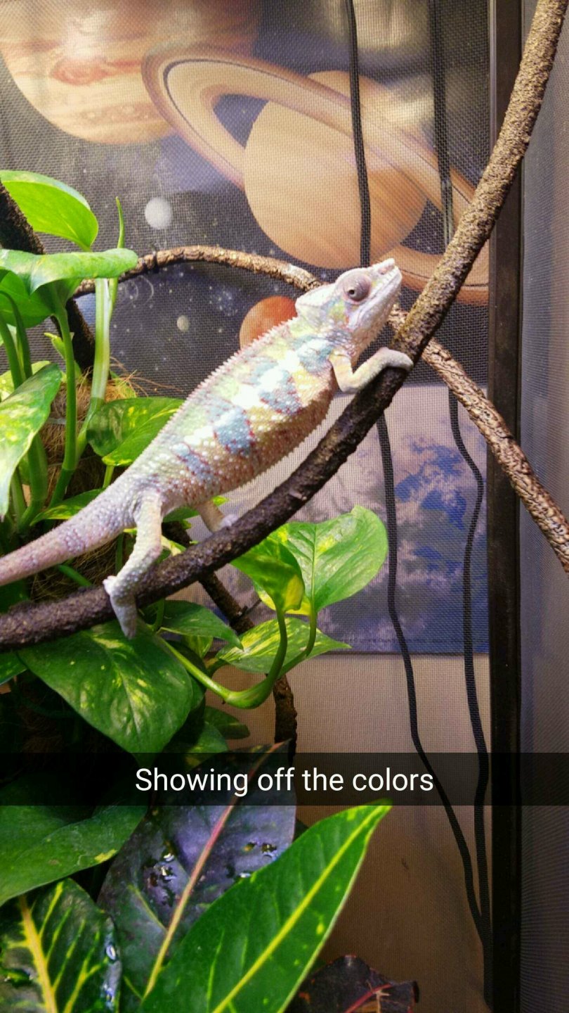 Snapchat-1587360998.jpg