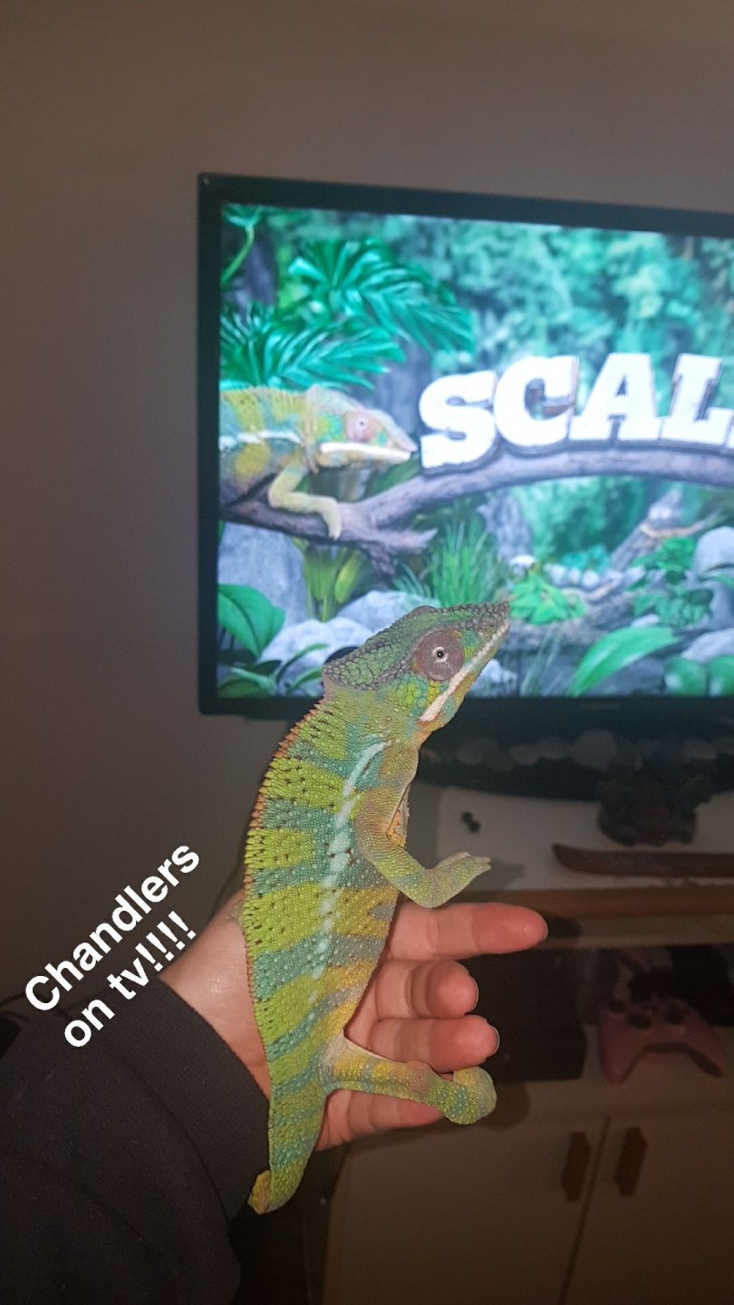 Snapchat-1595913697.jpg