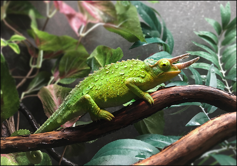 Spike 1.jpg
