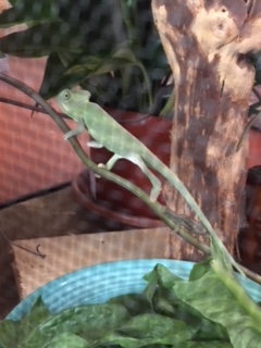 Spike on first day.jpg