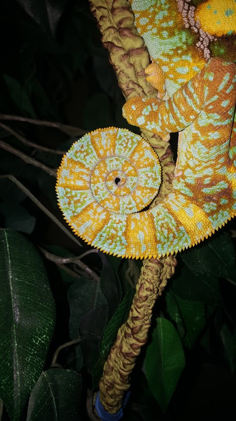 Squirt 1.18.19.1.jpg