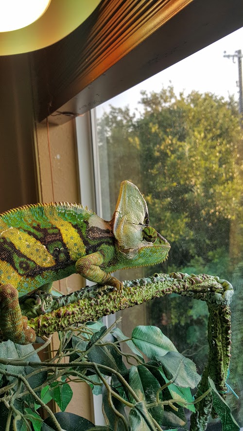 Squirt.jpg