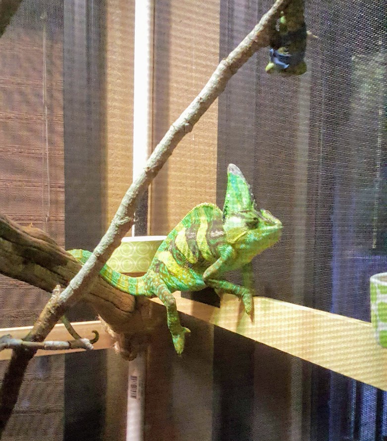 Squirt12.6.2.jpg