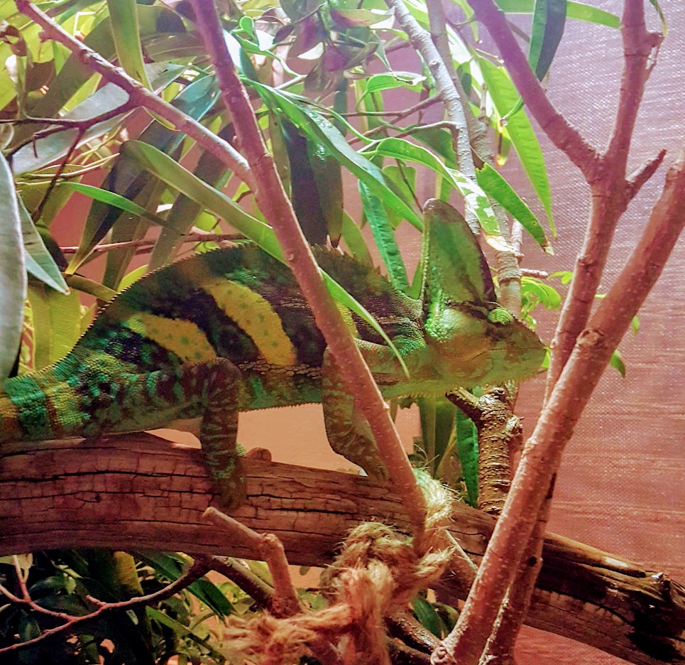 Squirt12.6.jpg