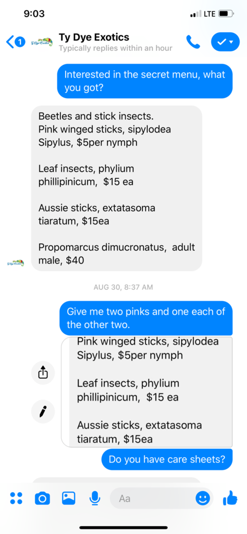 Stick.png