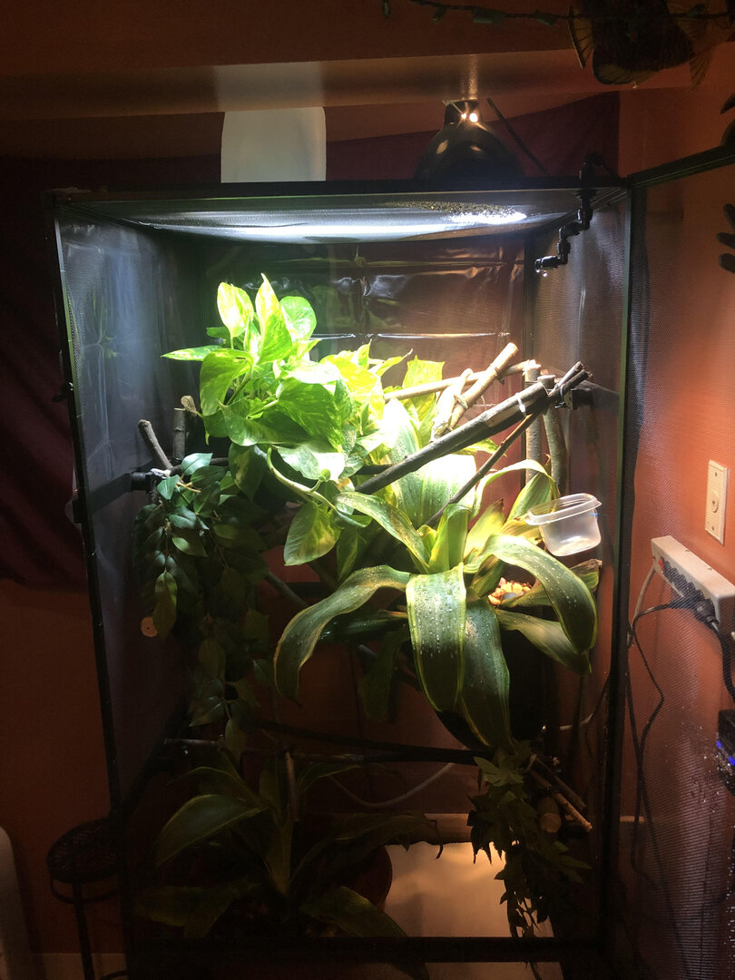 Sven Enclosure.jpg
