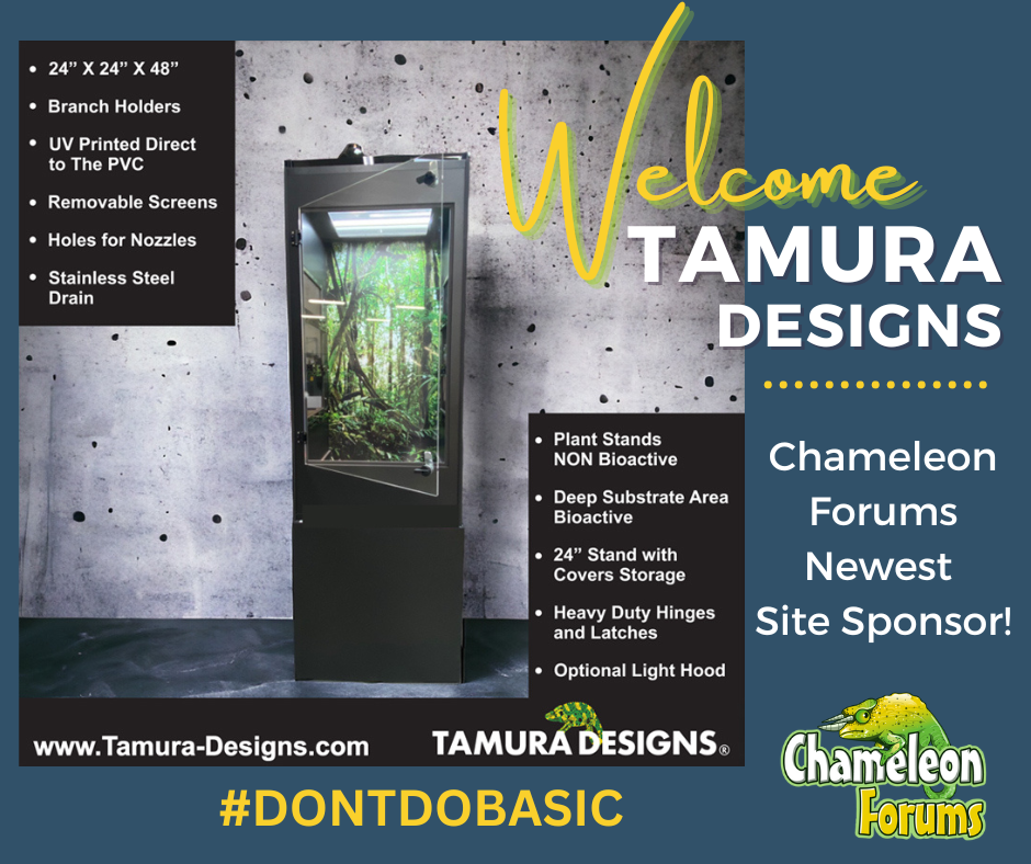 Tamura Designs Welcome Sponsor Facebook Post.png