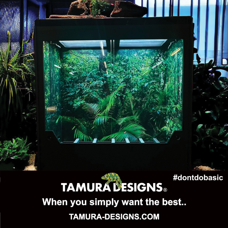 tamura-designs768b.jpg