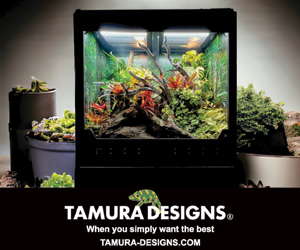 tamura300.jpg
