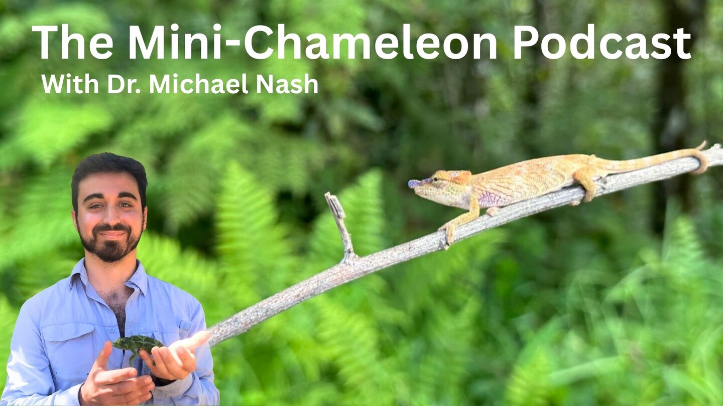 The Mini-Chameleon Podcast.jpg