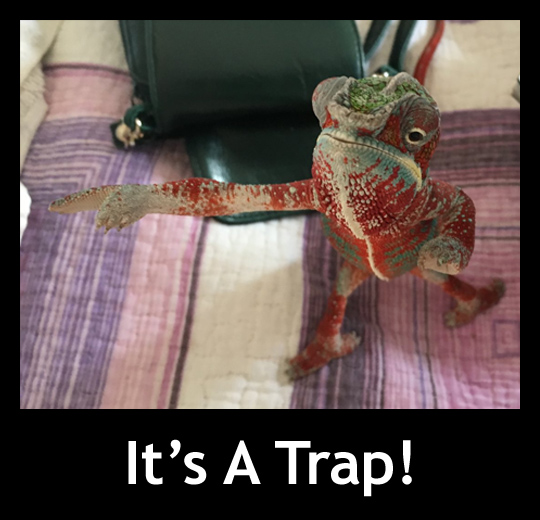 trap1.jpg
