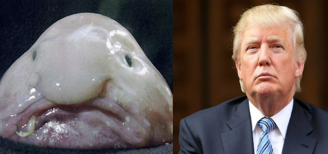 Trump-6.jpg