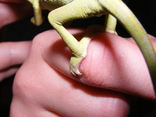 tumblr_ofzmm6OfkC1tnsy2eo4_r1_1280.jpg