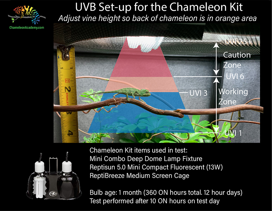 UVB-chameleon-kit-UVB-map-900x700-1.jpg