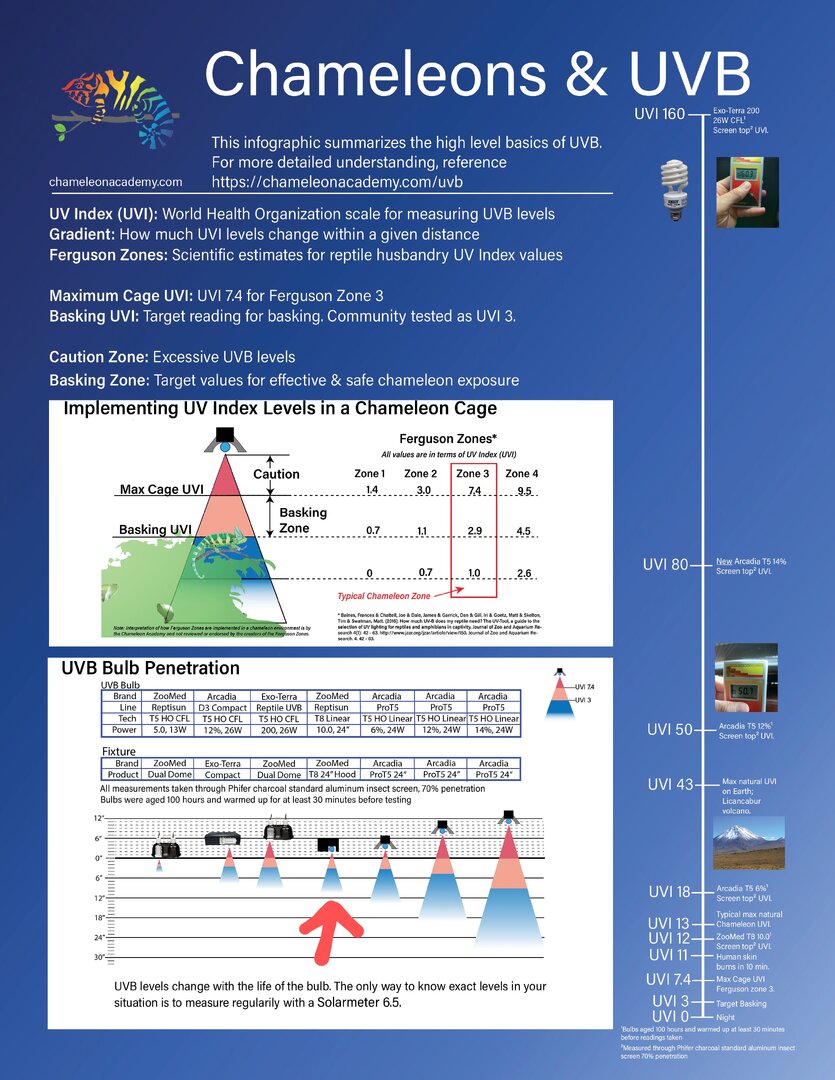 UVB-infographic-digital-2024 (1).jpg