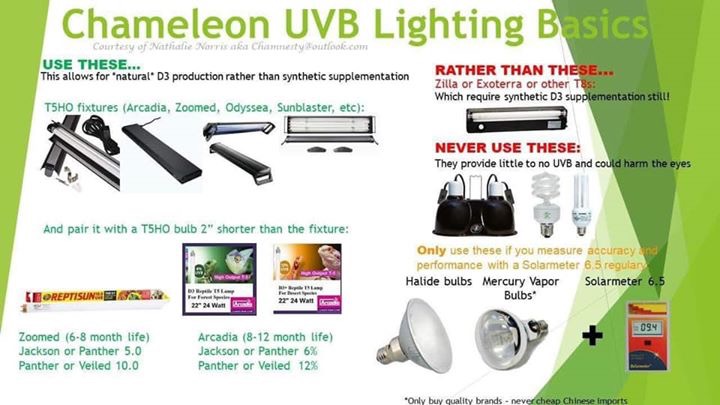UVB lighting pic.jpeg