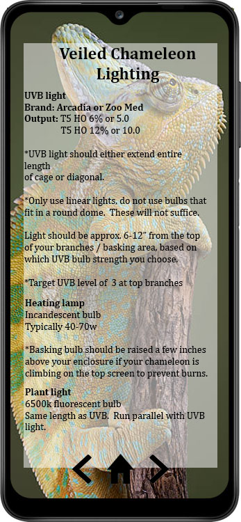 VeiledLighting.jpg