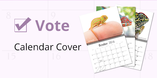 vote_cover2.jpg