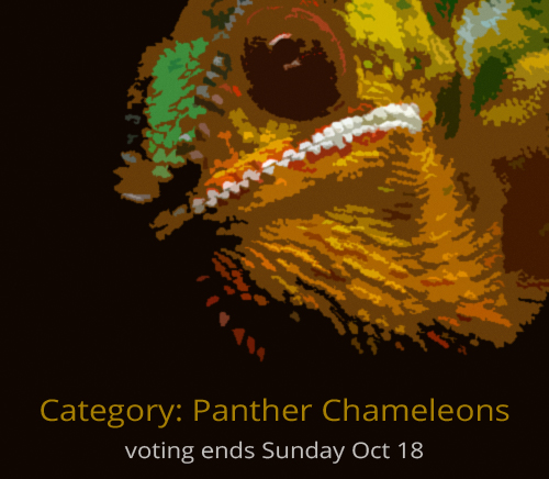 vote_panther.jpg