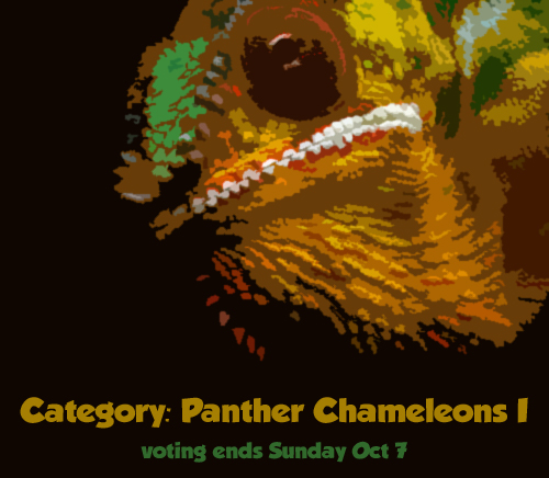 vote_panther1.jpg