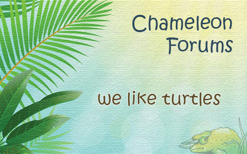 weliketurtles.jpg