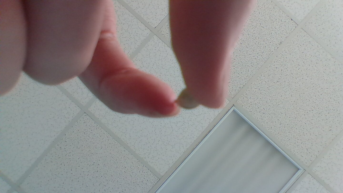 WIN_20201120_15_10_41_Pro.jpg