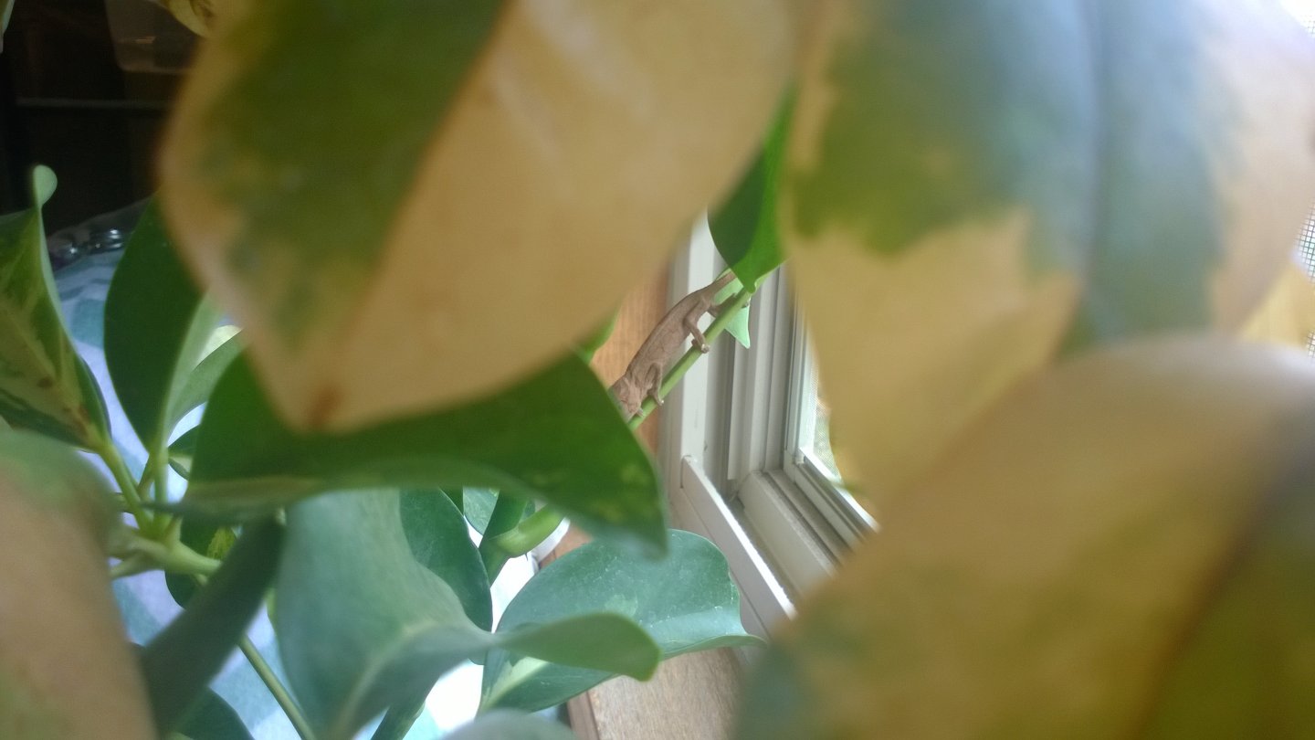 WP_20160312_004.jpg