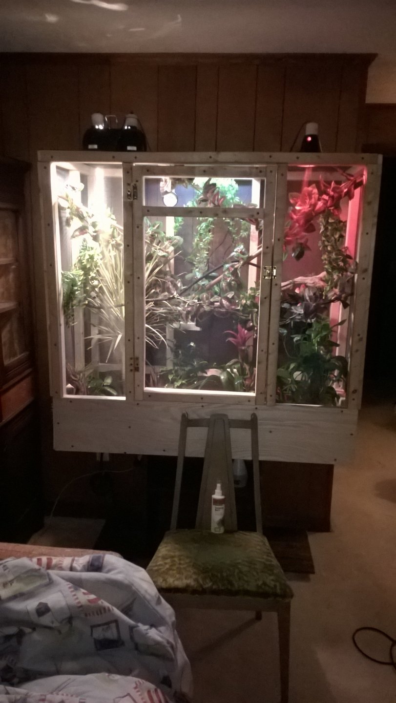 WP_20160525_001.jpg