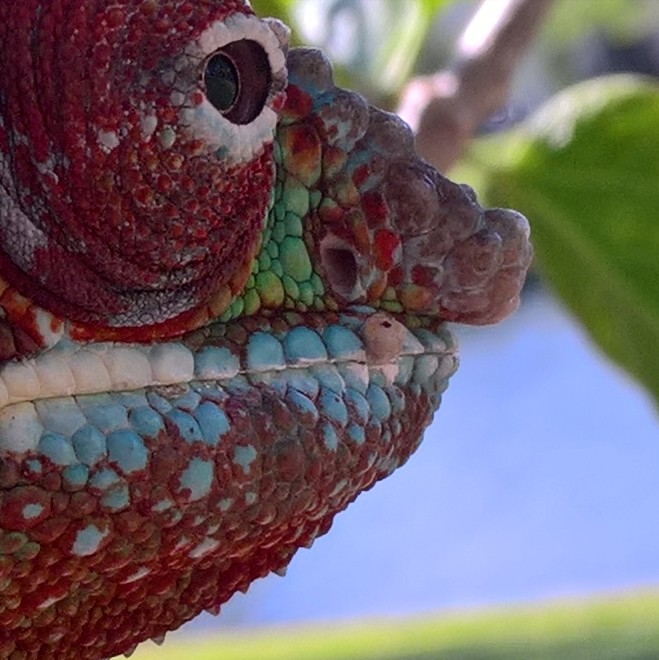 WP_20170526_17_06_46_Rich_LI (2).jpg