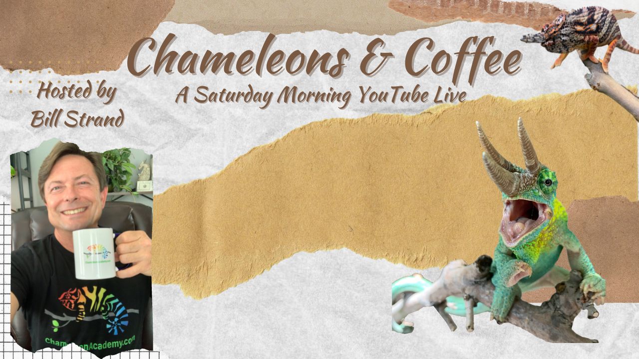 The Chameleon Academy Outreach | Chameleon Forums