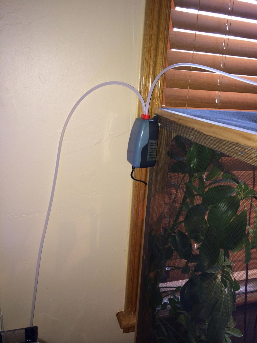 How to create an automated dripper. Chameleon Forums