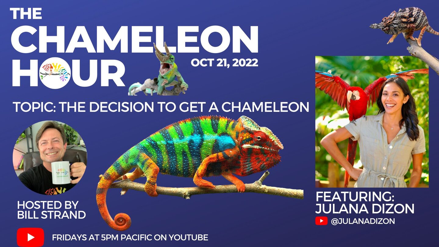 Chameleon Show 102122 Thumbnails(1920 × 1080 px).jpg