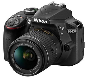 Blog entry 'Photographing Chameleon's in "Naturalistic" Settings'